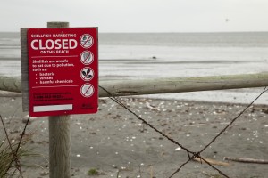 Shellfish Harvesting Closed